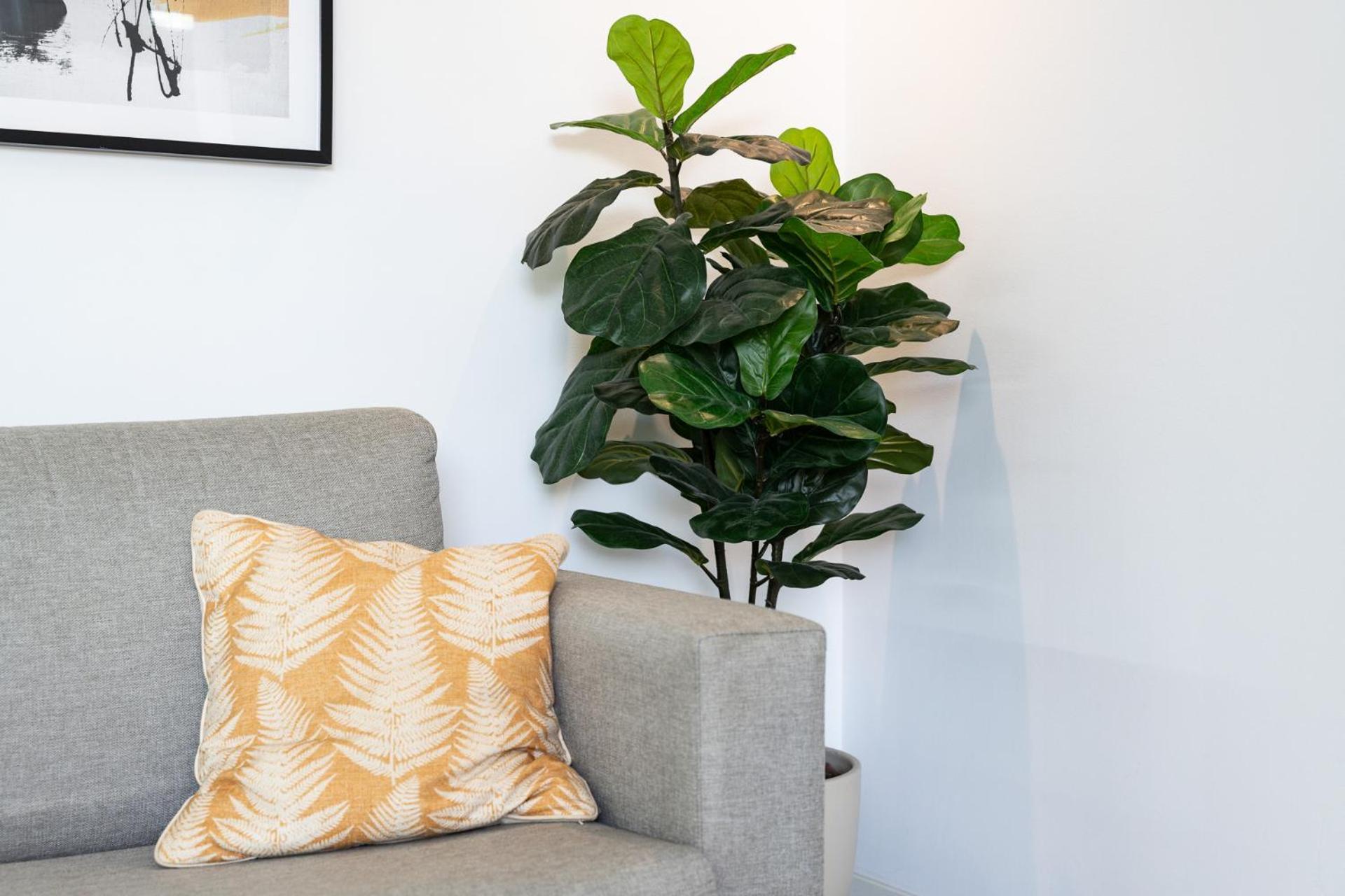 Apartament En El Palo *